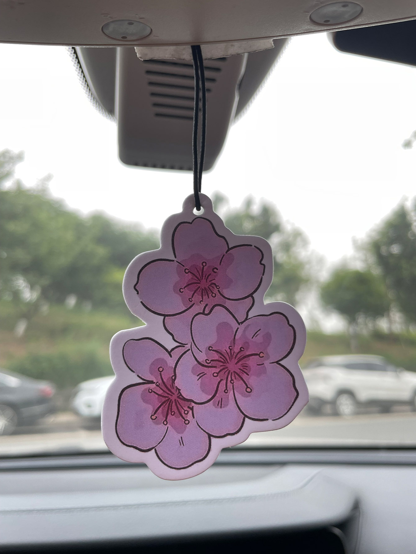 Home Fragrance M&S Disinfectant Hack - Sakura/Freesia Fresh Scent Five-Star Neutral Car