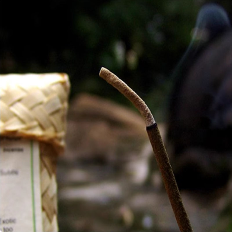 Log Plants Incense Sticks Mult - đánh giá và giá Home Fragrance Gift Box