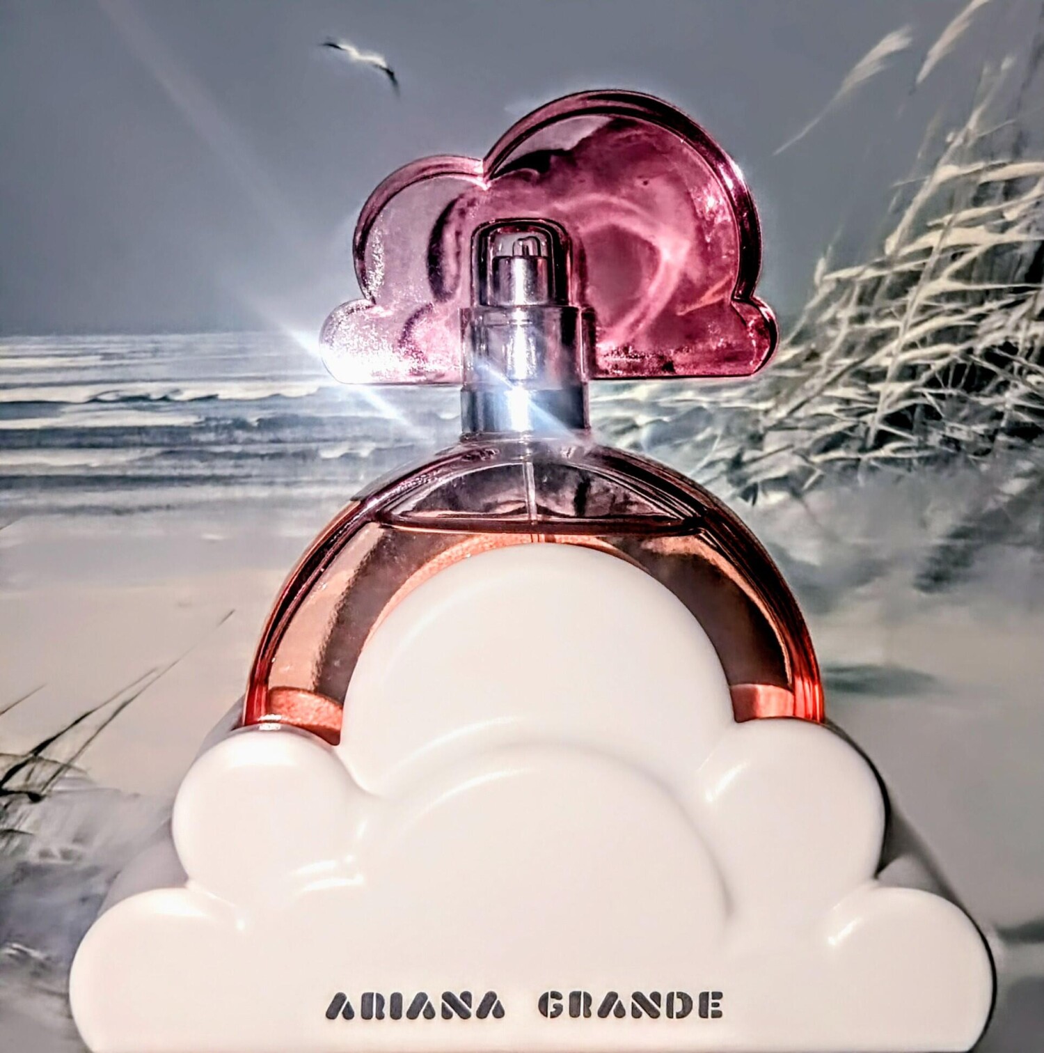 Ariana Grande Perfume for Wome - đánh giá và giá Home Fragrance Vanilla Musk